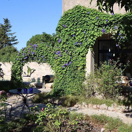 Aux Pots Bleus Bed and Breakfast Nissan-lez-Enserune Eksteriør billede